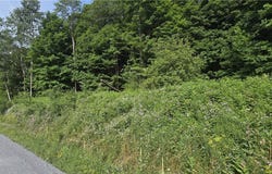 Cr-29, Harpersfield, NY 12093