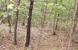 Boysenberry Drive lot: 104, Nebo, NC 28761