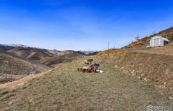 1425 Horse Mountain Dr, Livermore, CO 80536