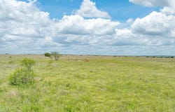 3540 County Road 626, Hamilton, TX 76531