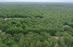 4 Lots Woodridge Drive, Livingston, TX 77351