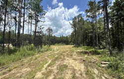 TBD County Road 4210, Woodville, TX 75979