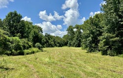 0001 Coxs Ferry Road, Bolton, MS 39041