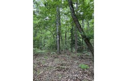 635 Nevada 323, Prescott, AR 71858