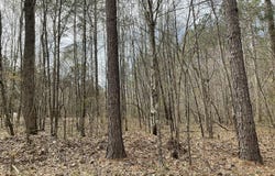 592 Hubberd Town Road, Beech Bluff, TN 38313