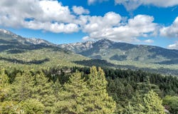 Lakeview Drive, Idyllwild, CA 92549