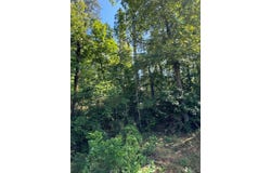 0  White Perch Ln., Zwolle, LA 71486