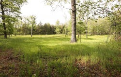 000 Handley Rd., Long Lane, MO 65590