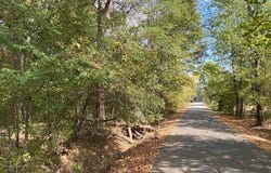00 N Lily and Hwy 60 Highway, Houston, AR 72070