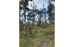 40TH AVE, Kurtistown, HI 96760