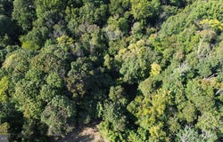 W RIDGE STREET, HARPERS FERRY, WV 25425