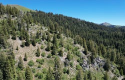 Forest Service Road 106, Council, ID 83612