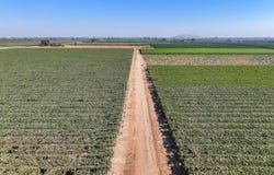 Road 88, Dinuba, CA 93618