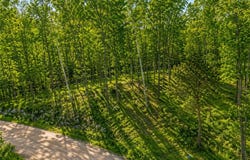 480 Ridgeway Lane, Walker, MN 56484