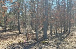 Site 10 Lumberjack Court, Grayling, MI 49738-1063
