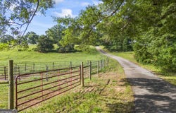 631 Sandy Cross, Royston, GA 30662