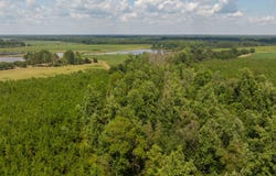 0 GA 133 North, Doerun, GA 31744