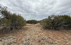 149 County Rd 8057, Concho, AZ 85924