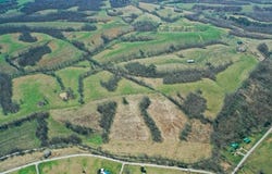 1300 Lower Concord Road, Carlisle, KY 40311