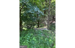 LIGHT ROAD, WINCHESTER, VA 22603