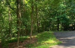Lot20 Bryant Cove Road, Blairsville, GA 30512