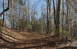 00 Twin Maple Way, Mill Spring, NC 28756
