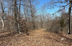 32677 Cougar Way, Cole Camp, MO 65325