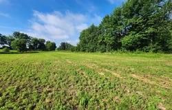 000 EAGLE ROAD, Marshfield, WI 54449