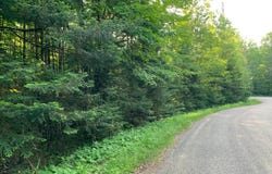 Lot 24 DEER TRAIL RD, Presque Isle, WI 54557