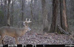 Swamp Road lot: A,E, Carthage, MS 39051