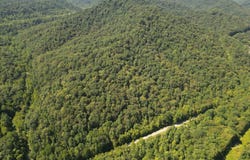 0 Honey Camp Road, Nellis, WV 25142