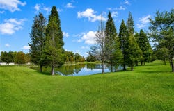 3326 PLEASANT WILLOW Court, BRANDON, FL 33511