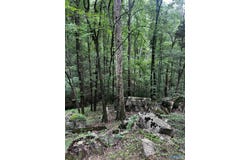 1727 SW Chestnut Mountain Road, Decatur, AL 35603