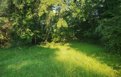 1005 S Slocumb Street, Goldsboro, NC 27530