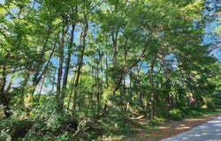 000 Shannon Dr, Leola, AR 72084
