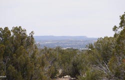 17 N7337, St. Johns, AZ 85936