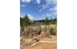 Co Rd 419, Calhoun City, MS 38916