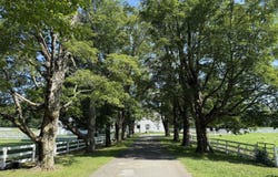802 State Road, Richmond, MA 01254