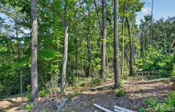 Jacks Paw Lane, Hendersonville, NC 28792