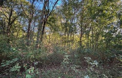 Tbd Walnut St, Mccurtain, OK 74944