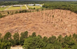 0 Sunflower Rd LOT 4, St Matthews, SC 29135