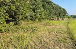 TBD Herbert Road, Norway, SC 29113