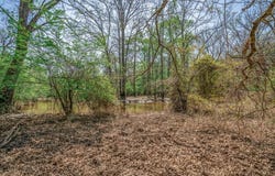 Tbd S Diana, Diana, TX 75640