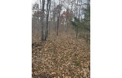 Forest Road 3169, Winona, MO 65588