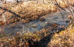 6580 Highway DD, Farmington, MO 63640