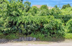 55 HACKENSACK PLANK RD, Weehawken, NJ 07086