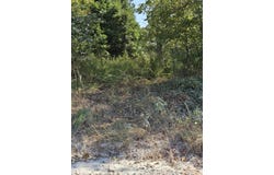 926 E 555th Road, Pleasant Hope, MO 65725