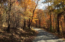 LOT D45-49, STANLEY, VA 22851