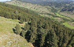 O'Rea Creek Road (Parcel 6), Livingston, MT 59047