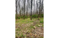 Sisson Hill Rd, Unadilla, NY 13849